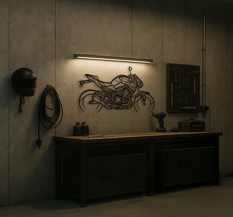 Standard Z900 Silhouette Metal Wall Art